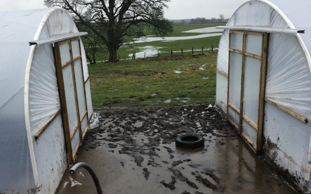 Rain, rain go away, come again another day!