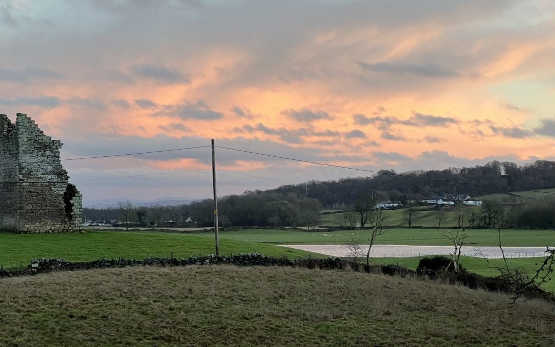 The garden in January