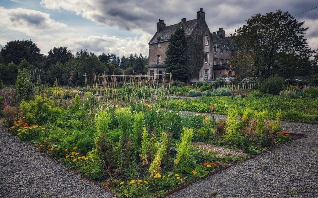 April’s garden blog – Potatoes galore